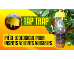 PIEGE A GUEPES TAP-TRAP /5